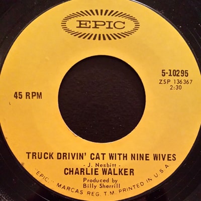Truck Driving Cat With Nine Wives by Charlie Walker (1967)